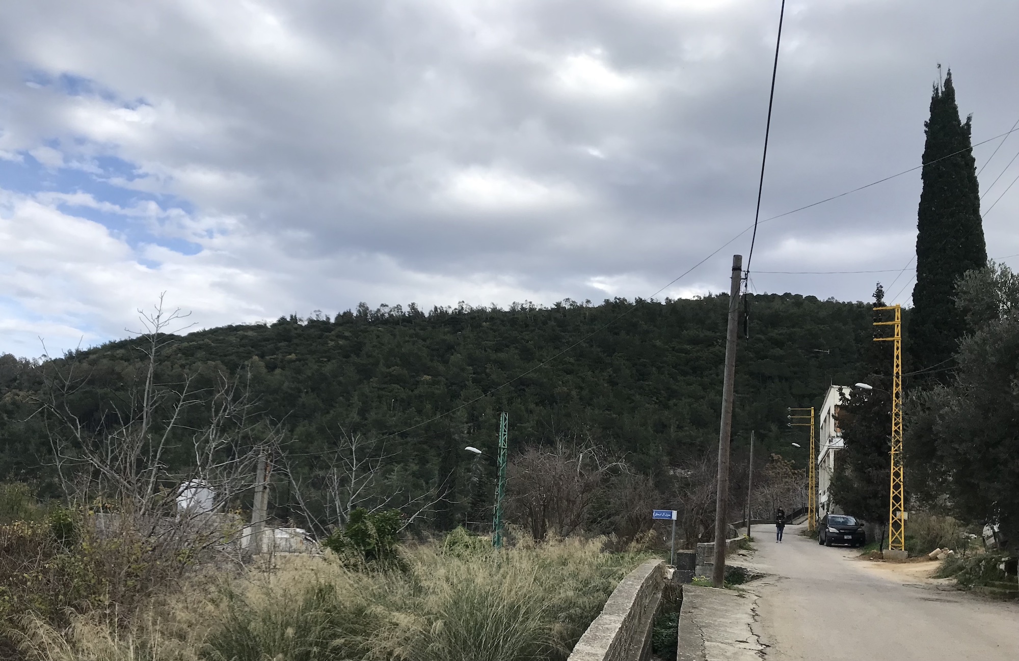 ضهر نص العالي يتحول محمية طبيعية في بينو 