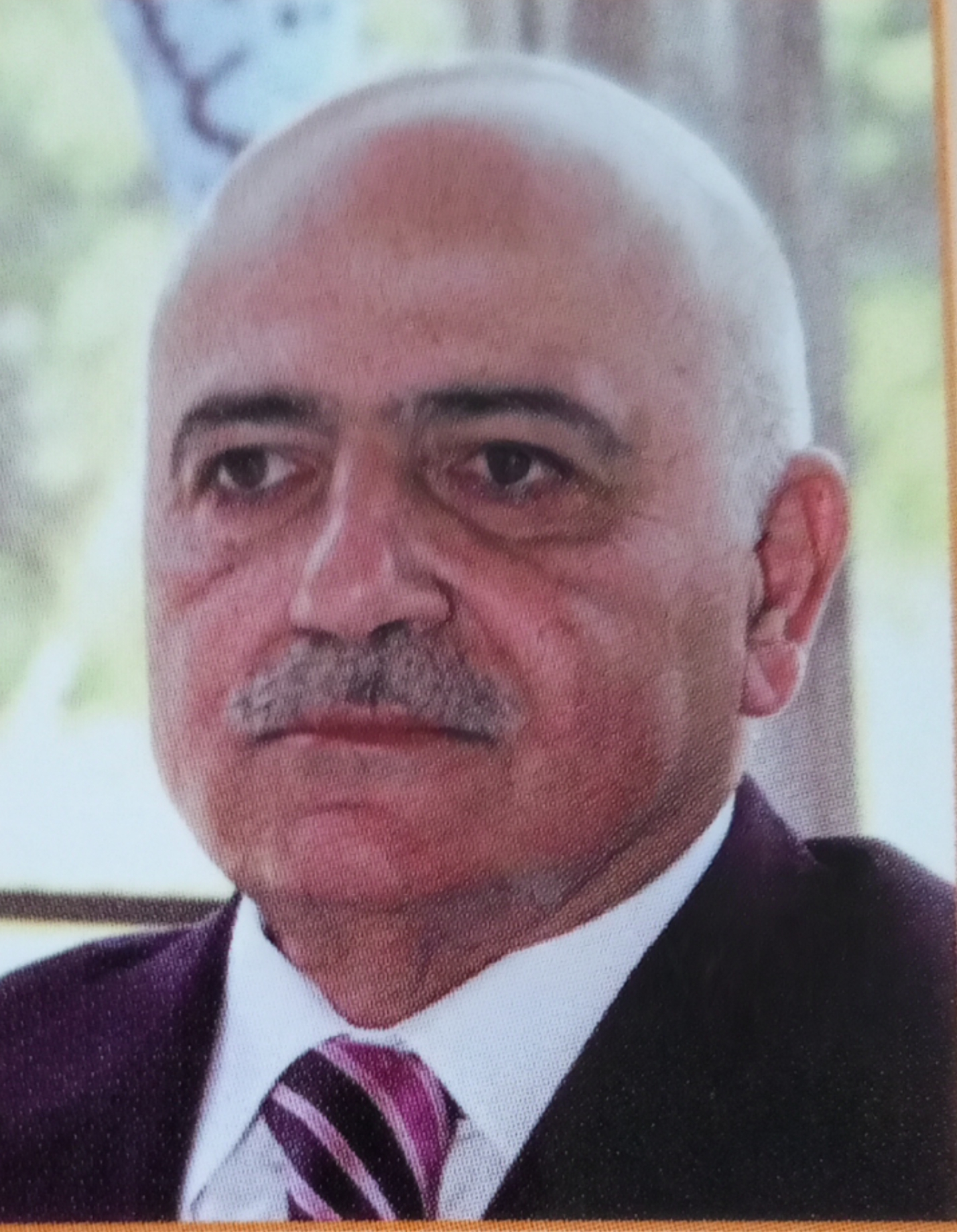 أخبار